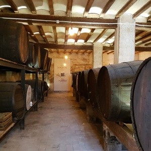 Vermouth Yzaguirre en el espacio de degustación del Parc Samà de Cambrils Bodegas Yzaguirre